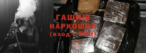 ECSTASY Бородино