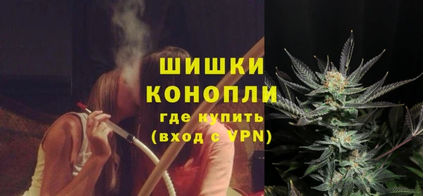 СК Бронницы