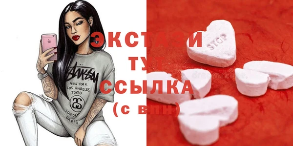 ECSTASY Бородино