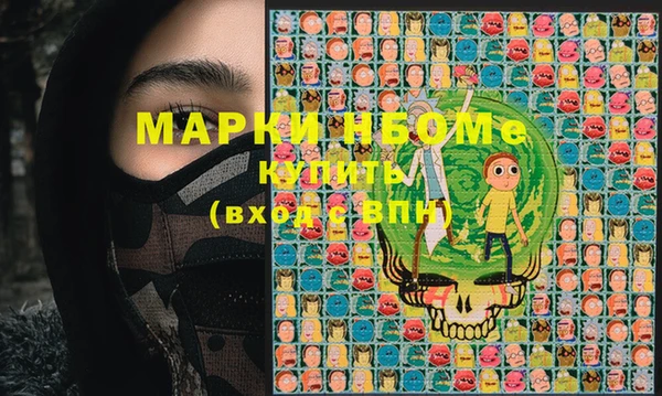 ECSTASY Бородино