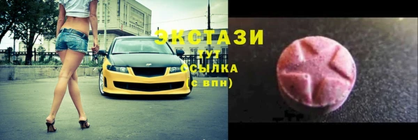 ECSTASY Бородино