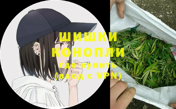 СК Бронницы