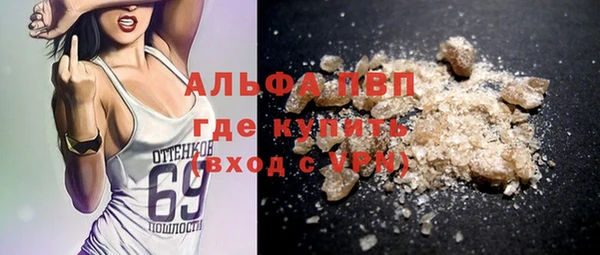 СК Бронницы