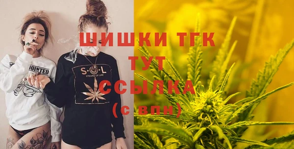 ECSTASY Бородино