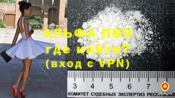 СК Бронницы