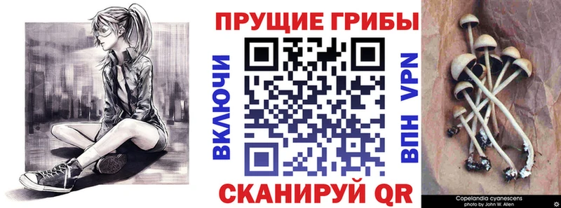 Псилоцибиновые грибы прущие грибы  Юхнов 